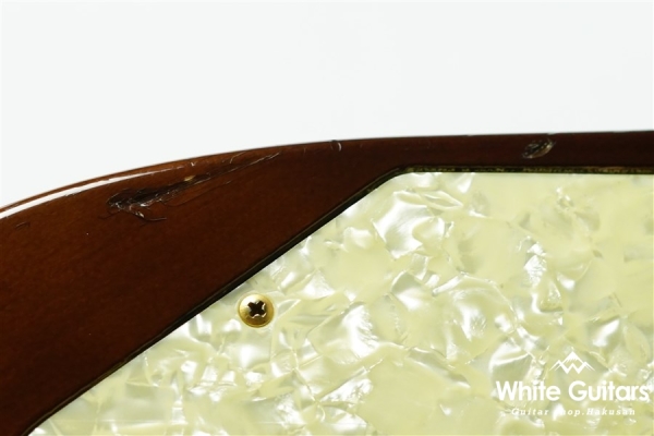 Pacifica USA-2 Custom